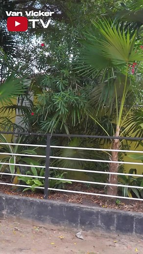 Let's have a conversation about Jakpa (greener pastures) on Van Vicker Vibes via my YouTube channel-VanVicker TV. Click the link in my Bio. #vanvicker #actor #vanlife #tiktok #vanvickerTV #vanvickervibes #entertainment #jakpa #japa