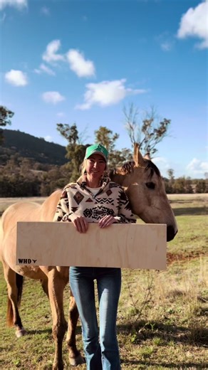 So so so gorgeous 😍 What a beautiful and sentimental idea this sign is I love bringing these special pieces to life 🥰 P.s Jester was a paid actor 🤣🫶🏼 WHD 🐮🤎 #cowhide #westerndecor #cowhidedecor #fyp #cowhidecollection #countrydecor #australianbusiness #smallbusiness #hotironbranding #branding #gracie