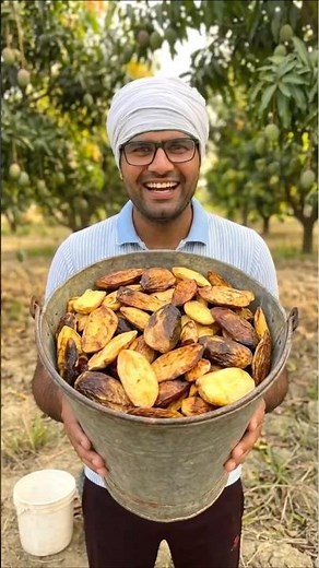 How to Grow Mango from Seed at Home
