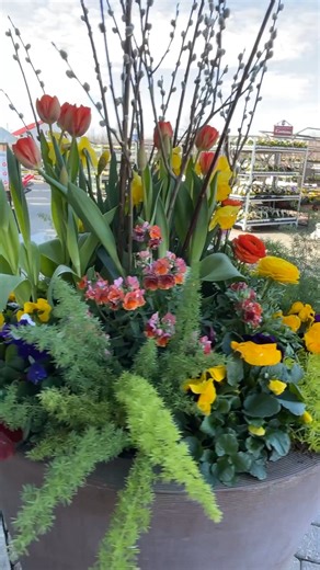 6.5K views · 116 reactions | Create your spring containers! | Gertens | Facebook