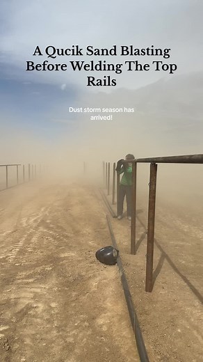 Understanding Dust Storms: Observations and Impacts