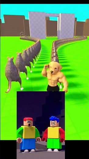 #roblox #itzcutieplayzrobloxedits #viral #memes #robloxfriends