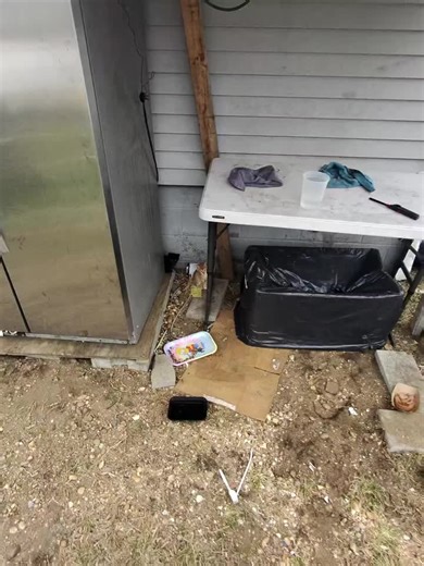 What an adorable little family. They will be available for adoption through #america #animal #rescuedog #dogrescue