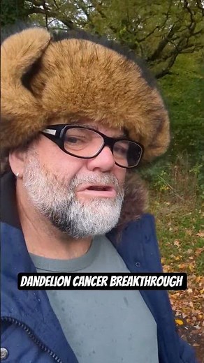 Scientific research found on the benefits of dandelion roots