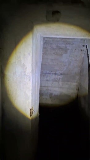 ww2 german Bunker in a forest in austria #urban #lostplace #abandoned