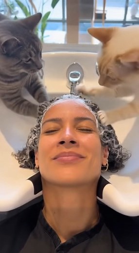 That wasn’t a wash... it was war. | Jessica