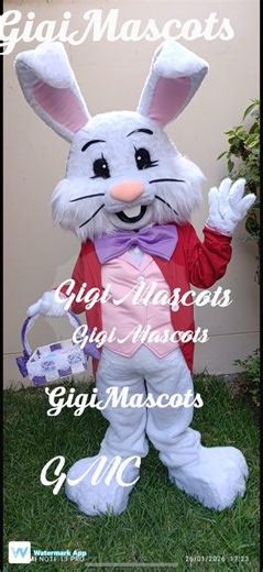Easter Bunny Mascot Costume and Many More - Etsy