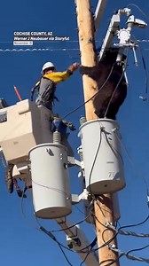 Alberto Martinez on Reels