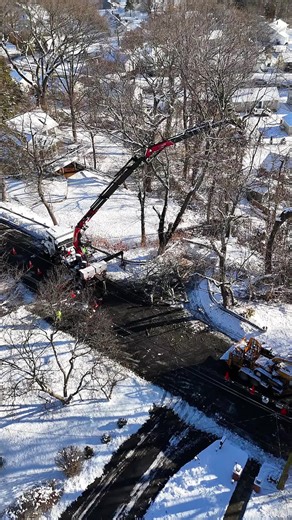 Part Five – Knuckle boom making the picks in Stratford while the mini skid keeps the site clean and moving below. Reach out to Distinctive Tree Care or Rayzor’s Edge for all your residential tree care needs! #LeadersOfTheTreeCareIndustry | #DistinctiveTreeCare | #RayzorsEdgeTreeService