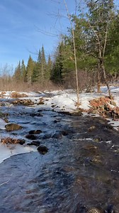 There is something about spring streams and sun that grounds me. Added bonus: I own this! #maine #outdoors #nature #explore #andastrongcupofcoffee | And a Strong Cup of Coffee