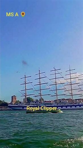 Royal Clipper #youtubeshorts #venice #italy