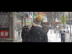 The Lymphatic System