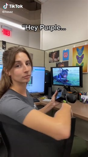 Viral Tiktok - Trend