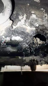 Sandor Mihalyi on Reels