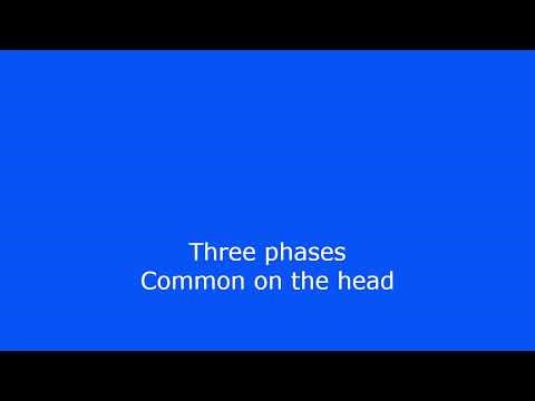 Estim Audio, Three Phases E-stim Wave