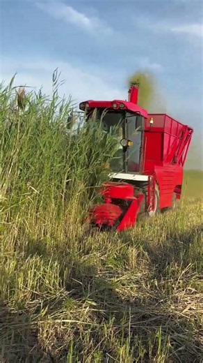 #Agricultural Machinery #Farming #Silage Harvesters,