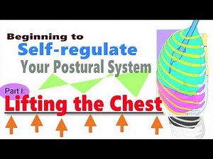 Beginning to Self-regulate Your Postural System, Part I: Lifting the Chest