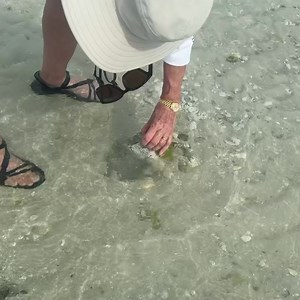 138K views · 1.6K reactions | SHELLZAM ! CongratSHELLations this beauty will be an amazing after it’s cleaned. Way to go!❤️  Only Collect Empty Shells  239-571-2331 www.treasureseekersshelltours.com  #whelkshells #vietnammotorbiketours #goodtimeswithgoodfriends #waytogo #shelltours #treasureseekersshelltours #gulfcoasttoursllc #shoregoodsmarcoisland #amandas_oceantreasures #ocean #goodtimes❤️ #swfl #florida | Treasure Seekers Shell Tours | Facebook