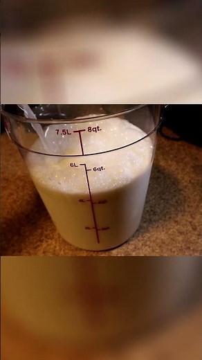 Easy Lactic Acid Bacteria: A Simple DIY Guide