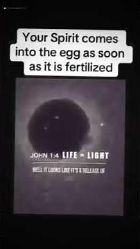 Light happens at conception