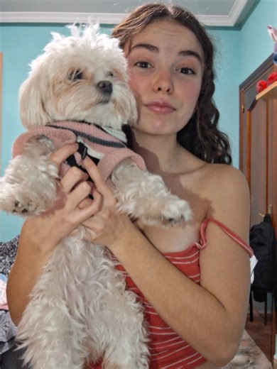 Understanding Nala the Sponge Dog Phenomenon