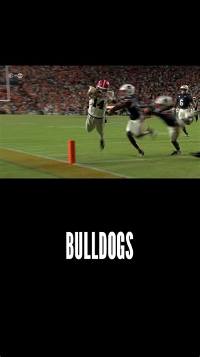 An Auburn podcaster said he “wasn’t scared of Gunner Stockton.” Then Gunner led a winning drive straight into the endzone — diving for the touchdown like he’s been waiting his whole life for that moment. Some talk. Dawgs deliver. 🏈🔥 #GunnerStockton #GoDawgs #DawgsOnTop #UGAFootball #BetweenTheHedges #SEC #KirbySmart #DawgNation ⸻ | Dawgzilla Sports - Premium Athletic Apparel