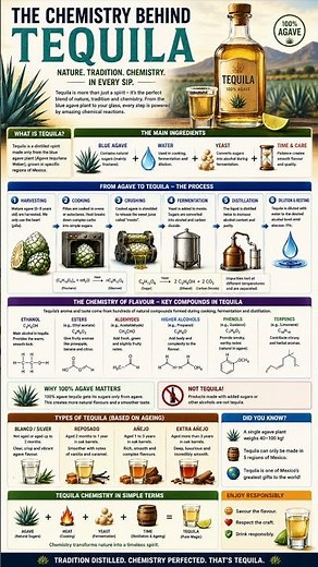 How Tequila Is Made ⚡ Full Chemistry Explained Everyday Chemistry of Tequila 😎 Alcohol Science Facts