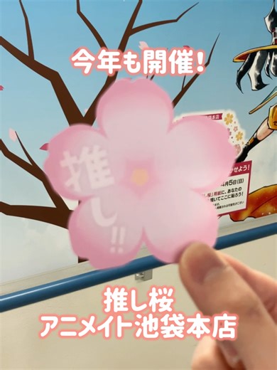 アニメイト池袋本店3周年を記念して、「推し桜」を今年も開催！ 🌸推し”三”昧で目指せ満開！推し桜2026 📅開催期間 2026年3月14日(土) ～ 4月5日(日) 📍開催場所 アニメイト池袋本店 北館1F～2F階段壁面 ※「推し桜」用紙はなくなり次第配布終了となります。 #アニメイト #桜 #推し活