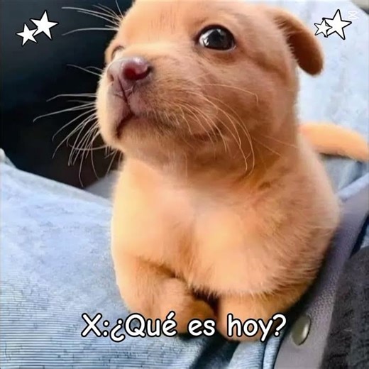 FELIZ CUMPLEAÑOS ‪@XINA-e3k‬ :D