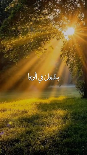 Mustafa mustafa//lyrics//#mustafamustafa#lyrics#nasheed