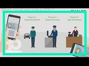 Florida set to launch access to digital driver's licenses