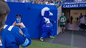 BTS: PIE VIDEO!!!! | Blue Indianapolis Colts Mascot