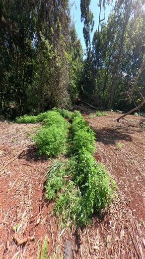 Explore My Backyard Mountain Biking Trail