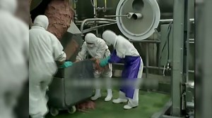 Food safety scare in China