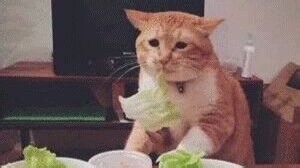 【依旧罚时大王赛时4题】Codeforces Global Round 30 (Div. 1   Div. 2)