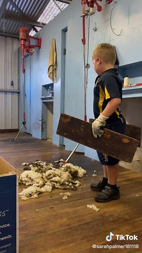 Regretting his life choices volunteering in the shearing shed 😂 #sheep #shearing #poop #farm