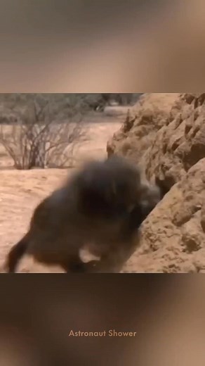 10K reactions · 193 shares | Smart Way to Find Water! | Astronaut Shower | Facebook