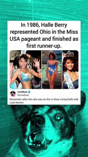 In 1986, Halle Berry represented Ohio in the Miss USA pageant and finished as first runner-up.