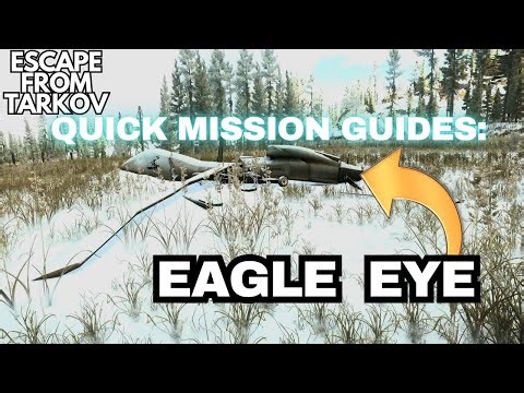 Eagle Eye Quick Guide Tarkov 1.0
