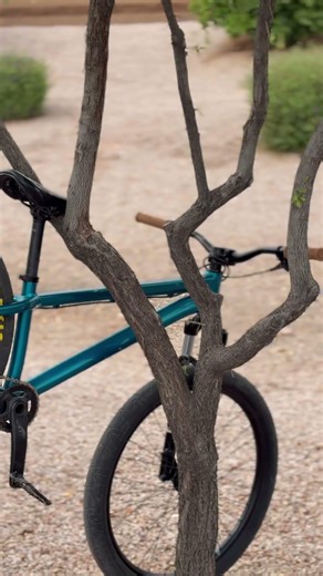 Clean specialized dirt jumper #mtb ￼#viral #clean #specialized ￼