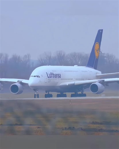 #usa🇺🇸 #airline