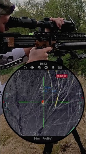 Searching | FX Impact M4 | Nocpix ACE S60R | ZAN Slugs #fxairguns #elementoptics