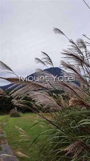 Hokkaido trip highlight: breathtaking Mt Yotei! Don't miss the nearby onsen with stunning views! Mt Yotei is about 2 hours from Sapporo by car (120 km/75 miles), offering stunning views along the way. #mountyotei #mtyotei #hokkaido #sapporo #selfdriving #drivinginjapan #roadtrip #roadtrip #naturevibes