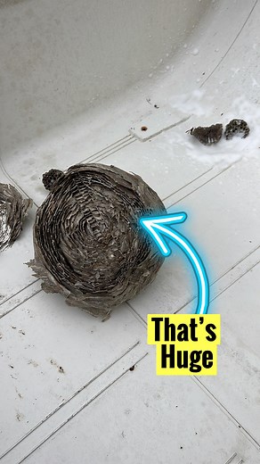 3.4K views · 21 reactions |  That’s one huge hive in an RV air conditioner. | Mobile RV Tech Services | Facebook