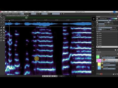 Spectralayers Pro 7 - Removing an unwanted sound from a vocal recording