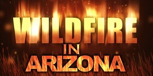 Weimer Fire burns 1,066 acres near northeastern Arizona; 40% contained