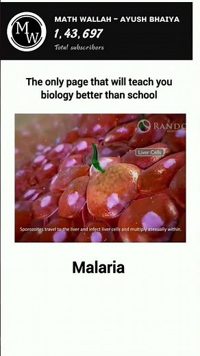 How Malaria Permanently Changed Humanity
