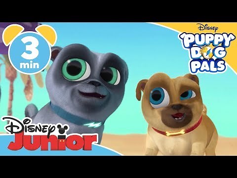 Magical Moments | Puppy Dog Pals: Search for the Pyramids | ‪@disneykids‬