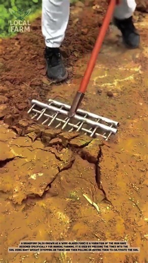 Traditional Farming Tool: The Simple & Effective Soil Leveler