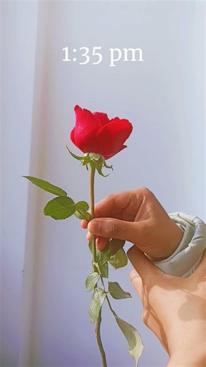❤️❤️🌹